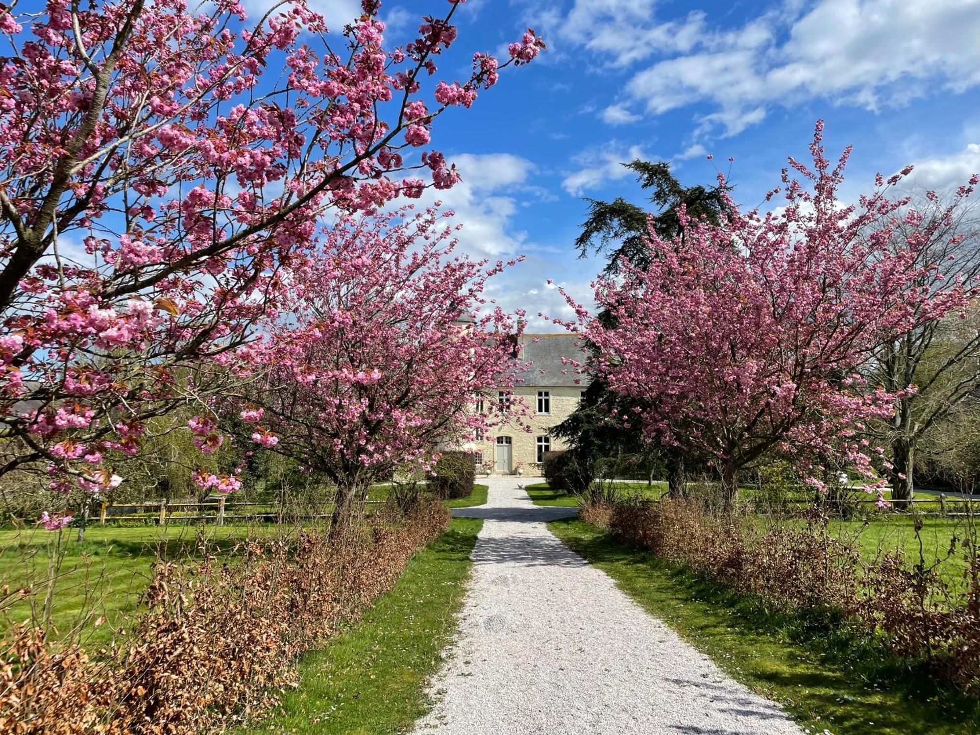 Chateau De Monfréville Extérieur photo